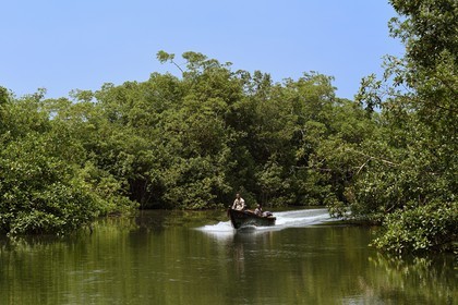 Gabon, province de l'Estuaire, Parc National Akanda, pêcheurs en pirogue dans la mangrove