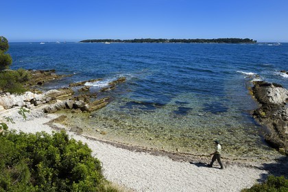 France, Alpes-Maritimes, Lerins Islands, Sainte-Marguerite island, Dragon point