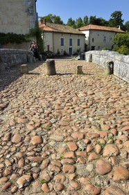 France, Dordogne, Périgord Vert, Saint Jean de Cole, labelled Les Plus Beaux Villages de France (The Most beautiful Villages of France), the medieval bridge of the 12th century