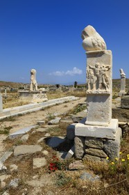 Greece, Cyclades islands, Delos, listed as World Heritage by UNESCO, the archaeological site of Delos, Apollo's Sanctuary, the most ancient city of the Aegean Sea, column with phallus at the Stoivadeion