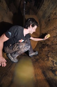 France, Haut Rhin, the Alsace Wine Route, Bergheim, Wine estate Marcel Deiss, the winegrower Mathieu Deiss cleaning the inside of a big barrel