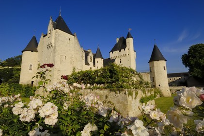 France, Indre et Loire, Chateau du Rivau