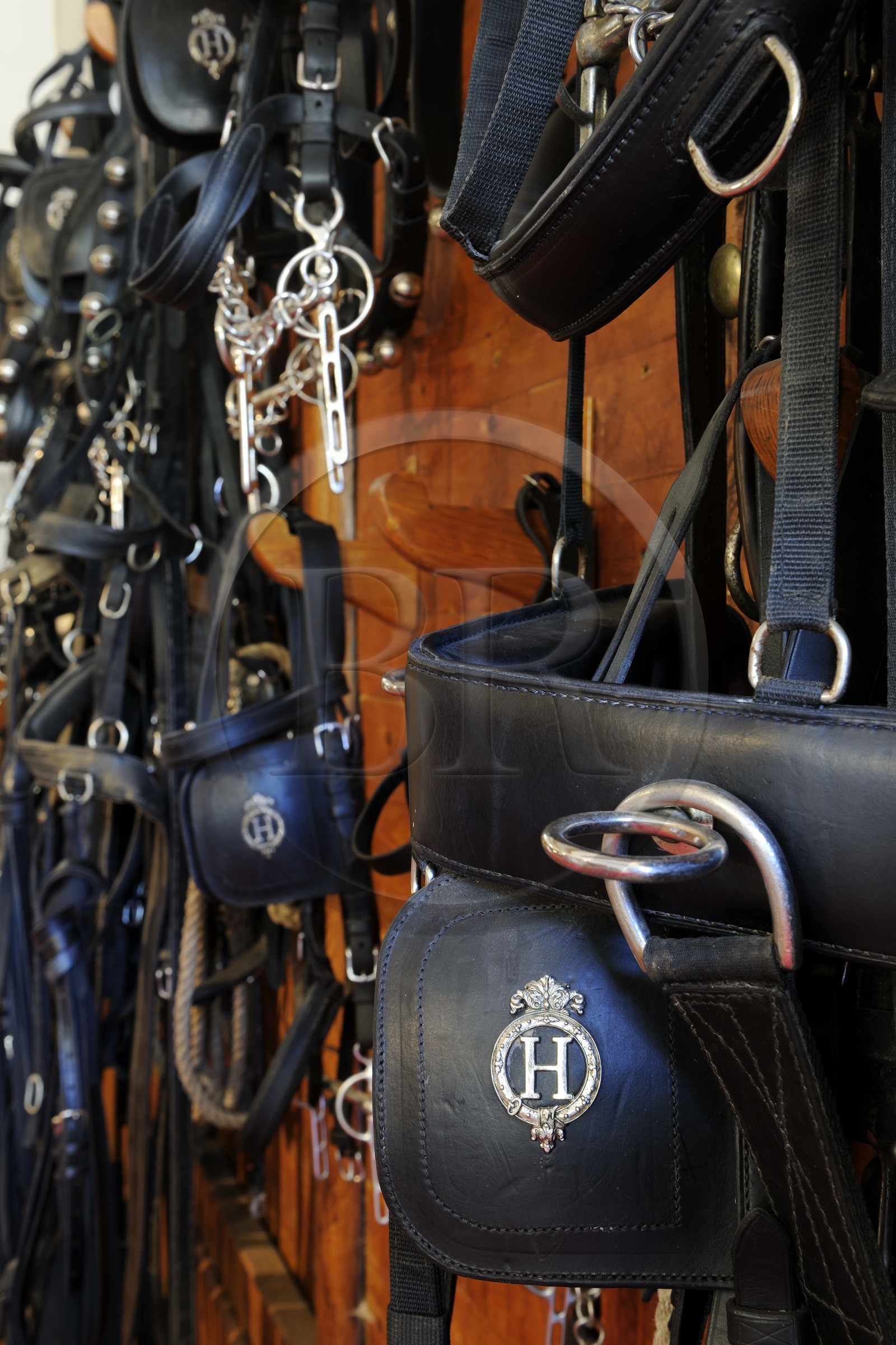 France, Saône et Loire (71), Cluny, cellerie du Haras national avec le H impérial