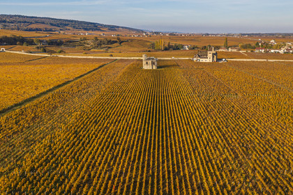 France, Côte-d'Or (21), Paysage culturel des climats de Bourgogne classés Patrimoine Mondial de l'UNESCO, Vougeot, Route des Grands Crus, le vignoble du chateau du Clos de Vougeot, le chateau de la Tour (vue aérienne)