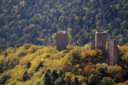 France, Haut-Rhin (68), les trois donjons d'Eguisheim dans le massif des Vosges (photo aérienne)