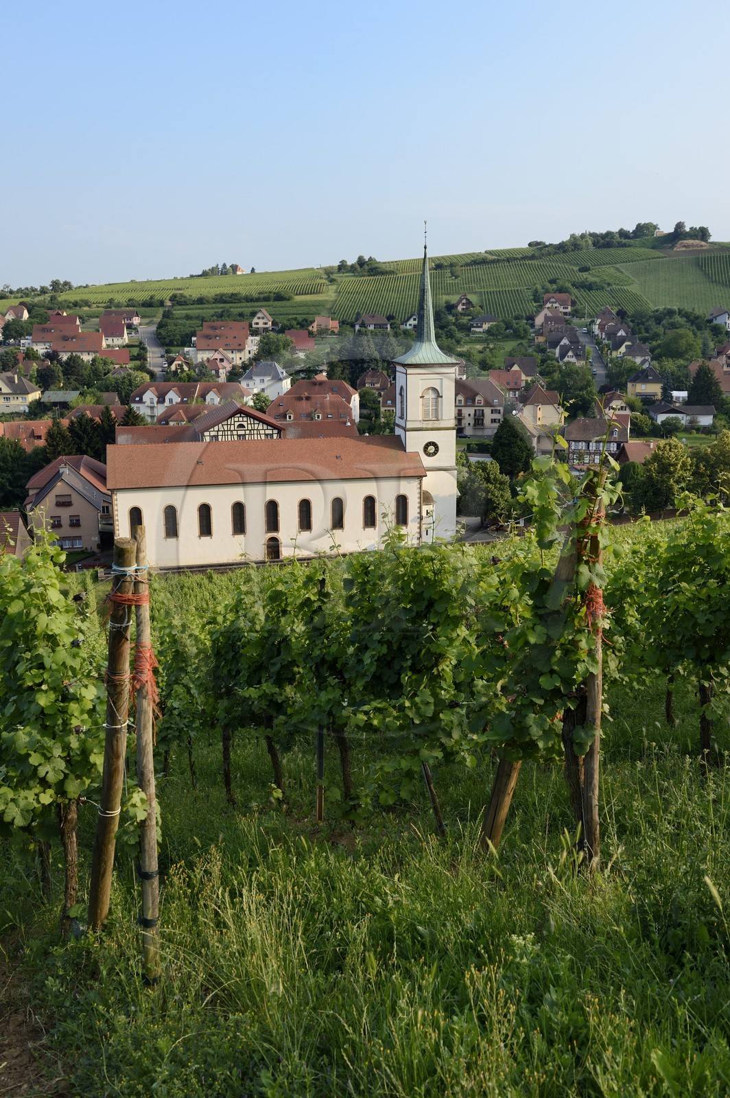 France, Bas-Rhin (67), Route des Vins d'Alsace, Barr, l'église catholique France, Bas-Rhin (67), Route des Vins d'Alsace, Barr, l'église catholique