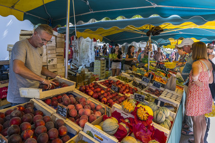 France, Bouches du Rhone, Regional Natural Park of the Alpilles, Saint Remy de Provence, fruit stall on the market place Jules Pellissier