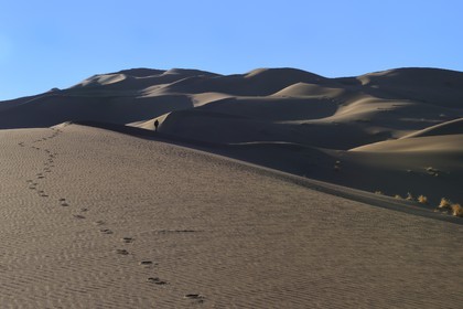 Iran, Yazd province, Dasht-e Kavir desert, Moghestan, hiking in the dune system which highest dune reaches 200 meters