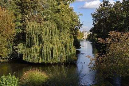 United Kingdom, London, City of Westminster, St James's Park lake, the Horse Guards Buildings and Ministries in the Background