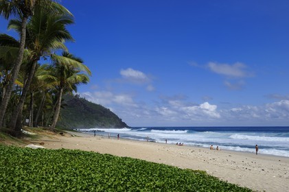 France, île de la Réunion, la côte sud, plage de Grand-Anse