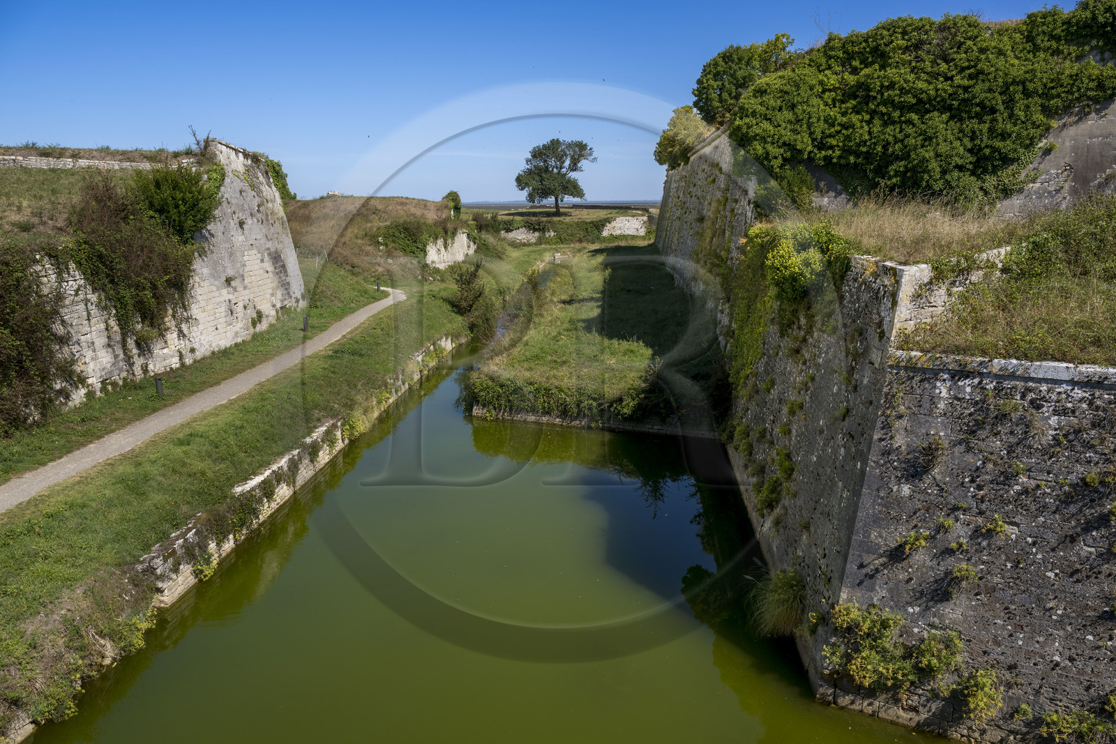 France, Charente-Maritime (17), Ile d'Oléron, le Chateau-d'Oléron, douves qu’un système d’écluses permet d'alimenter en eau de mer