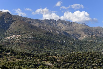 France, Haute Corse, Balagne, perched villages in Balagne, village of Occhiatana left