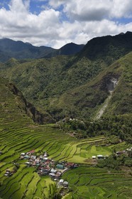 Philippines, province d'Ifugao, les rizières en terrasses de Banaue autour du village de Batad, classées Patrimoine Mondial de l'UNESCO, alimentées par un ancien système d'irrigation depuis la forêt tropicale au-dessus des terrasses