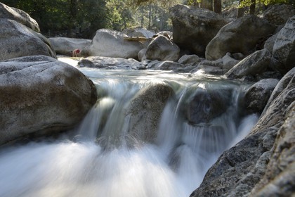France, Haute Corse, Corte, Restonica valley