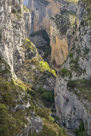 France, Alpes de Haute Provence, Parc Naturel Régional du Verdon, Rougon, Grand Canyon of Verdon in the corridor Samson and the beginning of the trail sentier Blanc-Martel on the GR4