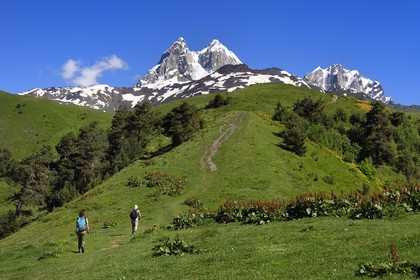 Georgia, Upper Svaneti (Zemo Svaneti), Mestia, hikers towards Guli pass on the foothills of Mount Ushba that we see in the background on the left
