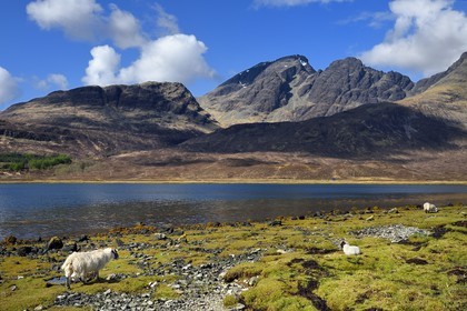 Royaume-Uni, Ecosse, région des Highlands, les Hébrides, Ile de Skye, le Loch Slapin vers Torrin et les montagnes des Red Cuillin