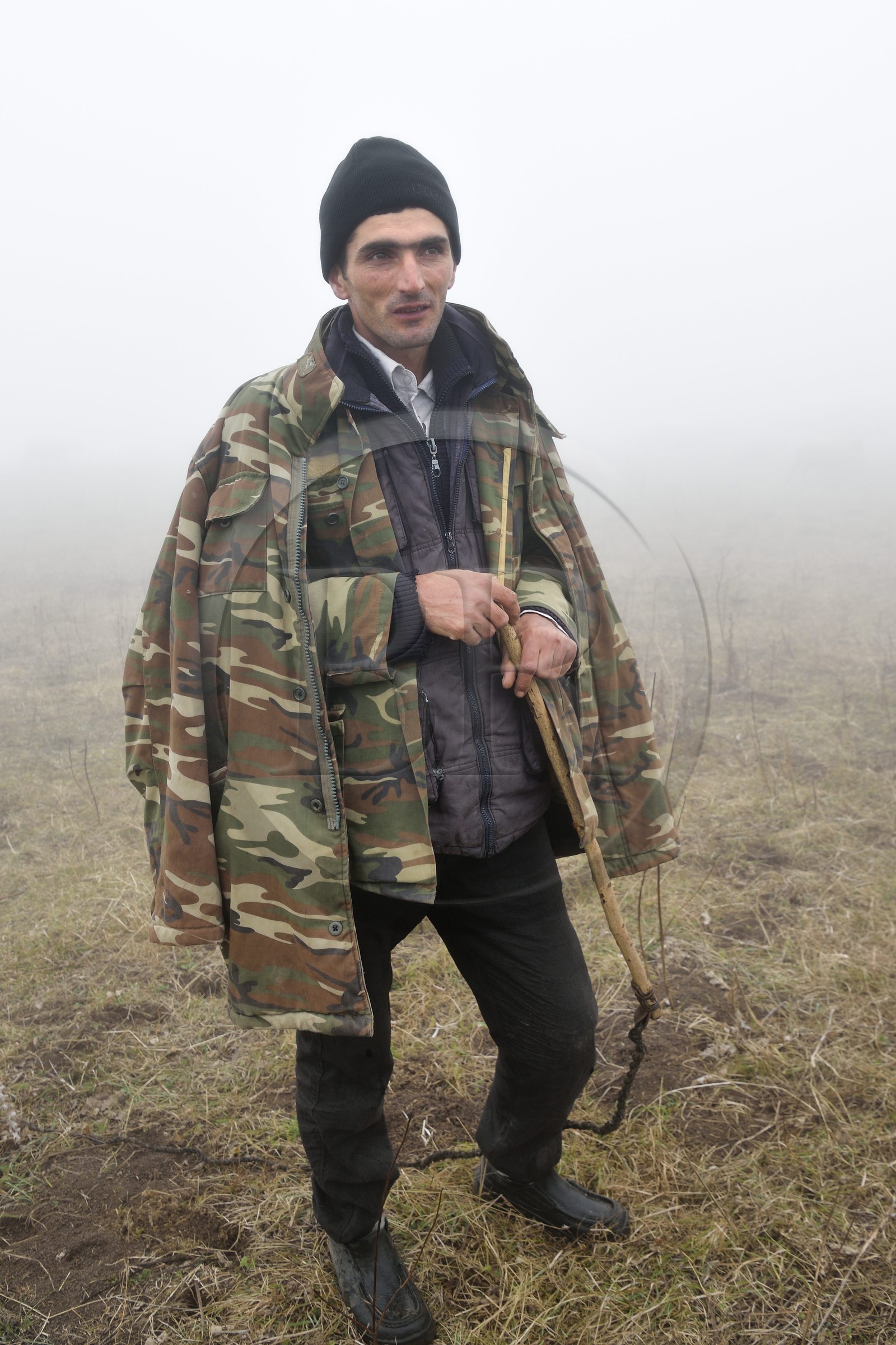 Azerbaïdjan, région de Quba (Guba), chaine de montagne du Grand Caucase, randonnée entre le village de Giriz et de Laza, berger dans la brume