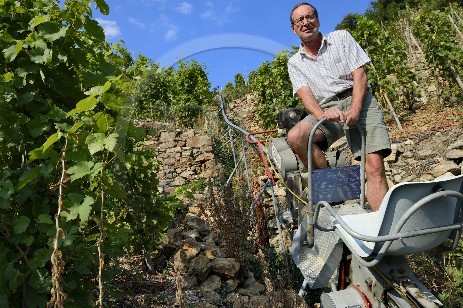 France, Rhône (69), Parc Naturel Régional du Pilat, Ampuis, vignoble AOC Côte Rôtie du domaine de Gilles Barge, monorail à crémaillère unique en France et destiné aux vendanges sur ces terres extrêmement pentues