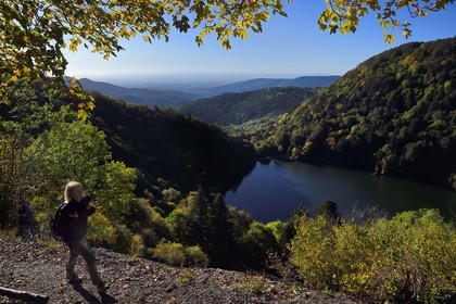 France, Haut Rhin, Ballons des Vosges Regional Natural Park, Rimbach pres Masevaux, hiker walking on the GR5 hiking trail over the Lac des Perches, the plain of Alsace and the Alps in the background