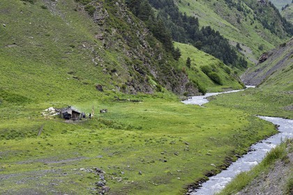 Georgia, Kakheti, Tusheti National Park, Alazani River Valley in the mountains of Pirikiti, shepherds' camp