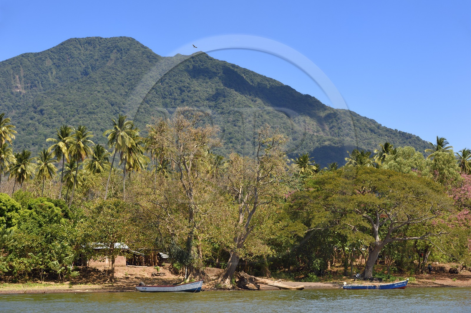 Nicaragua, Ile d'Ometepe sur le lac Nicaragua, village de Merida et le volcan Maderas en arrière plan