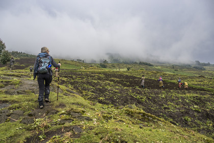 Rwanda, Province du Nord, District de Musanze (Ruhengeri), garde et pisteur du Parc accompagnant une randonneuse sur les pentes volcaniques du mont Karisimbi dans les montagnes des Virunga en bordure du Parc national des Volcans où vivent les gorilles, les derniers champs cultivés avant la forêt