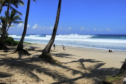 France, île de la Réunion, la côte sud, plage de Grand-Anse
