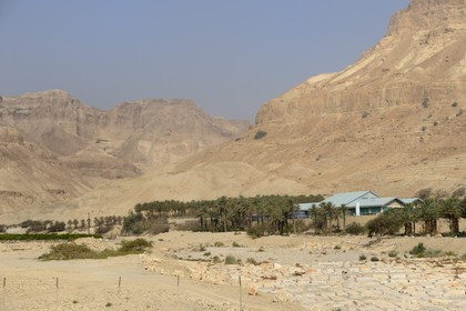 Israel, West Bank, Kibbutz on the Dead Sea
