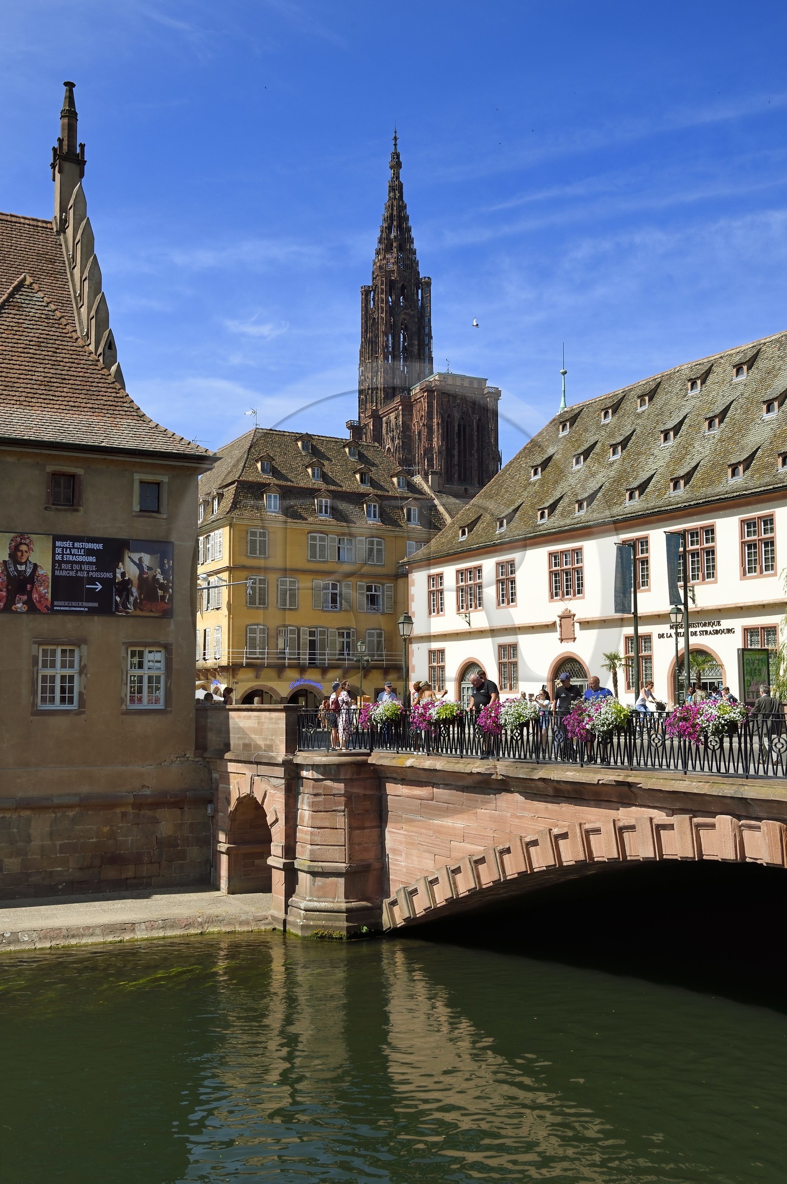 France, Bas-Rhin (67), Strasbourg, vieille ville classée au Patrimoine Mondial de l'UNESCO, la cathédrale Notre-Dame et le musée Historique (ancienne Grande Boucherie) sur les bords de l'Ill France, Bas-Rhin (67), Strasbourg, vieille ville classée au Patrimoine Mondial de l'UNESCO, la cathédrale Notre-Dame et le musée Historique (ancienne Grande Boucherie) sur les bords de l'Ill