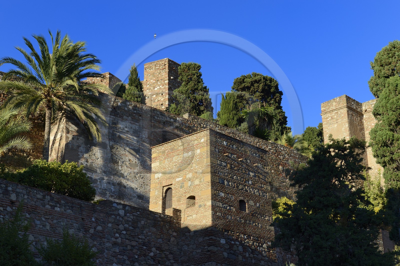 Espagne, Andalousie, Malaga, la Alcazaba Espagne, Andalousie, Malaga, la Alcazaba