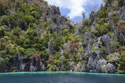 Philippines, Calamian Islands dans le nord de Palawan, Coron Island Natural Biotic Area, lagon et falaises de calcaire du Permien d'origine jurassique