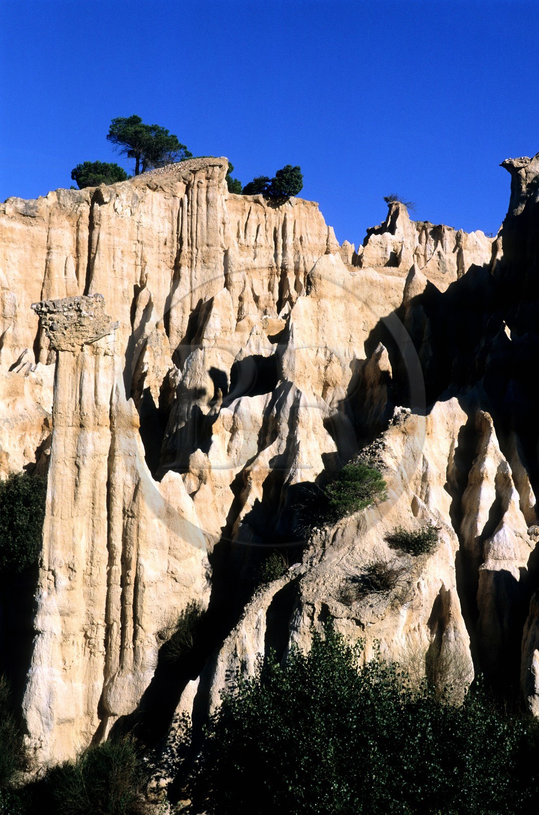 France, Pyrénées-Orientales (66), région du Ribéral, site des orgues vers Ille-sur-Têt