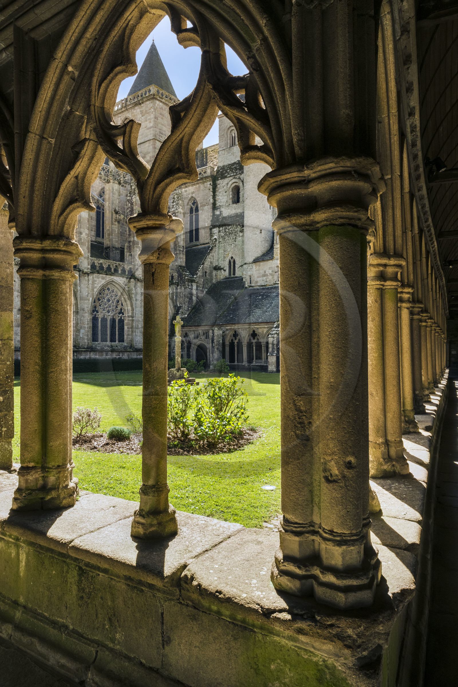 France, Côtes-d'Armor (22), Tréguier, cathédrale Saint-Tugdual, le cloitre de style gothique flamboyant de 1461