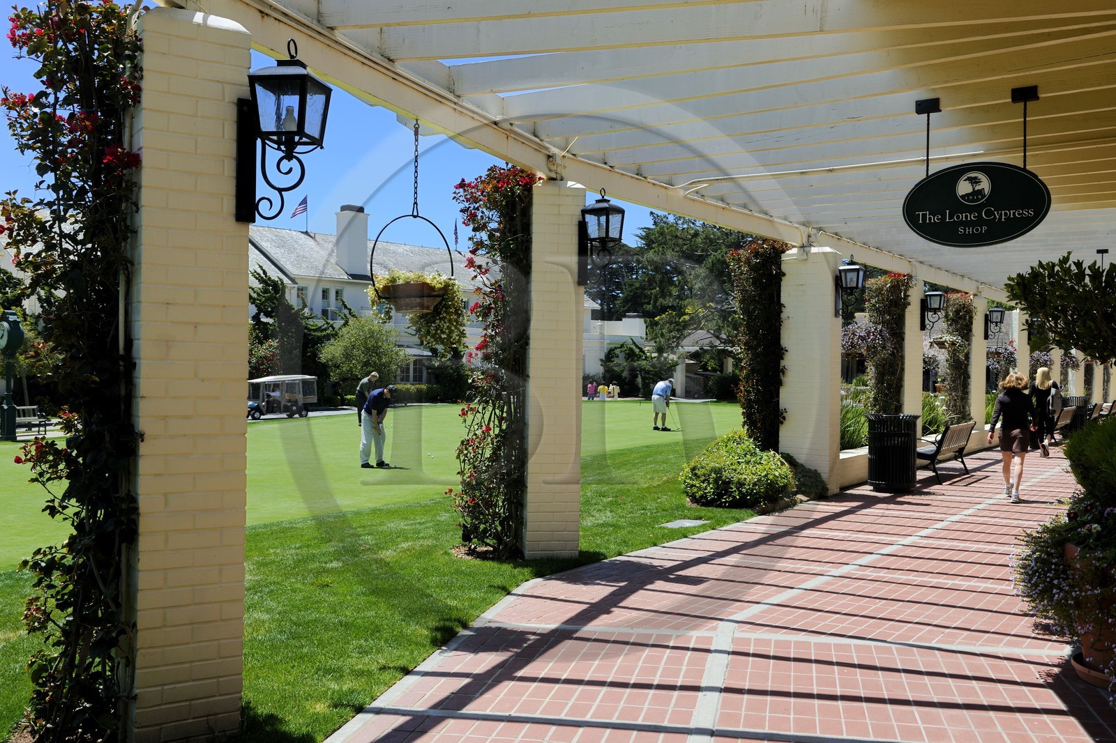 Etats-Unis, Californie, 17 mile drive, golf de Peeble Beach