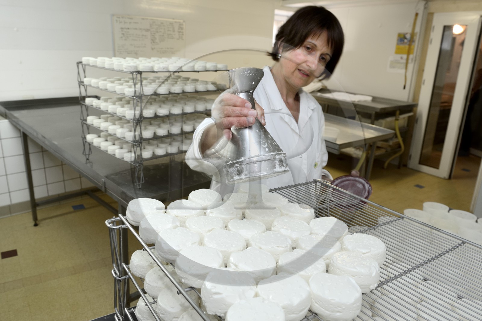 France, Loire (42), Parc Naturel Régional du Pilat, Pélussin, production par le GAEC de la Cabriole du fromage de chèvre Rigotte de Condrieu AOC, Marie Blandine Boucher sale les fromage de chèvre frais