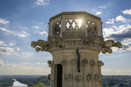 France, Nièvre (58), Nevers, cathédrale Saint-Cyr-et-Sainte-Julitte, gargouilles du XVIe siècle en haut de la tour Bohier et la Loire en arrière plan