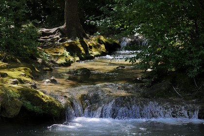 France, Var (83), Provence Verte, Tourves, rivière du Caramy dans les Gorges du Caramy