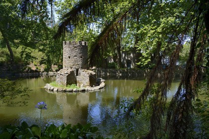 Portugal, région de Lisbonne, Sintra, classée Patrimoine Mondial de l'UNESCO, parc du Palais national de Pena (Palacio Nacional da Pena)