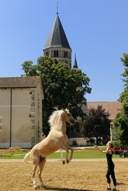 France, Saône et Loire (71), Cluny, le Haras national, Emeline Hussenet artiste équestre avec le cheval Pyrame