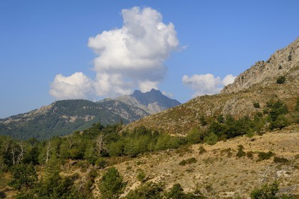 France, Haute Corse, Niolu (Niolo) region towards Calasima highest village in Corsica (1 095m)