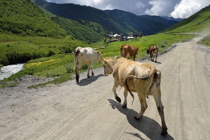 Georgia, Upper Svaneti (Zemo Svaneti), village of Ushguli, listed as World heritage by UNESCO, Svan defensive towers erected next to the houses of Murkmeli hamlet