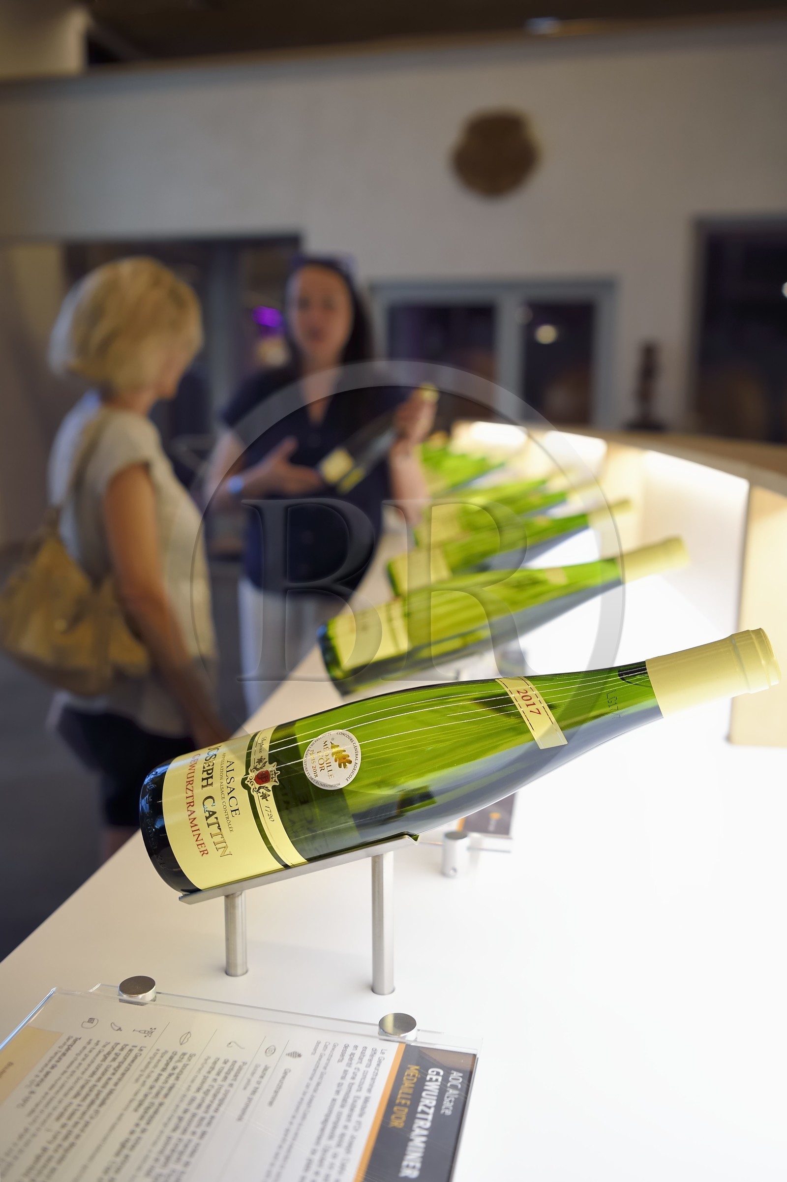 France, Haut-Rhin (68), Route des vins d'Alsace, Voegtlinshoffen, Maison Joseph Cattin, domaine viticole