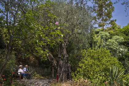 France, Alpes-Maritimes, Menton, Val Rahmeh Botanical Garden