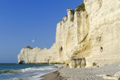 France, Seine-Maritime, Pays de Caux, Cote d'Albatre, Etretat, Amont cliff