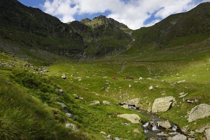 Roumanie, Valachie, Muntenie, Comté de Arges, les monts Fagaras le long de la Route Transfagarasan dans les Carpates du Sud