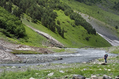 Georgia, Kakheti, Tusheti National Park, Alazani River Valley in the mountains of Pirikiti, hiker crossing a flock of sheep