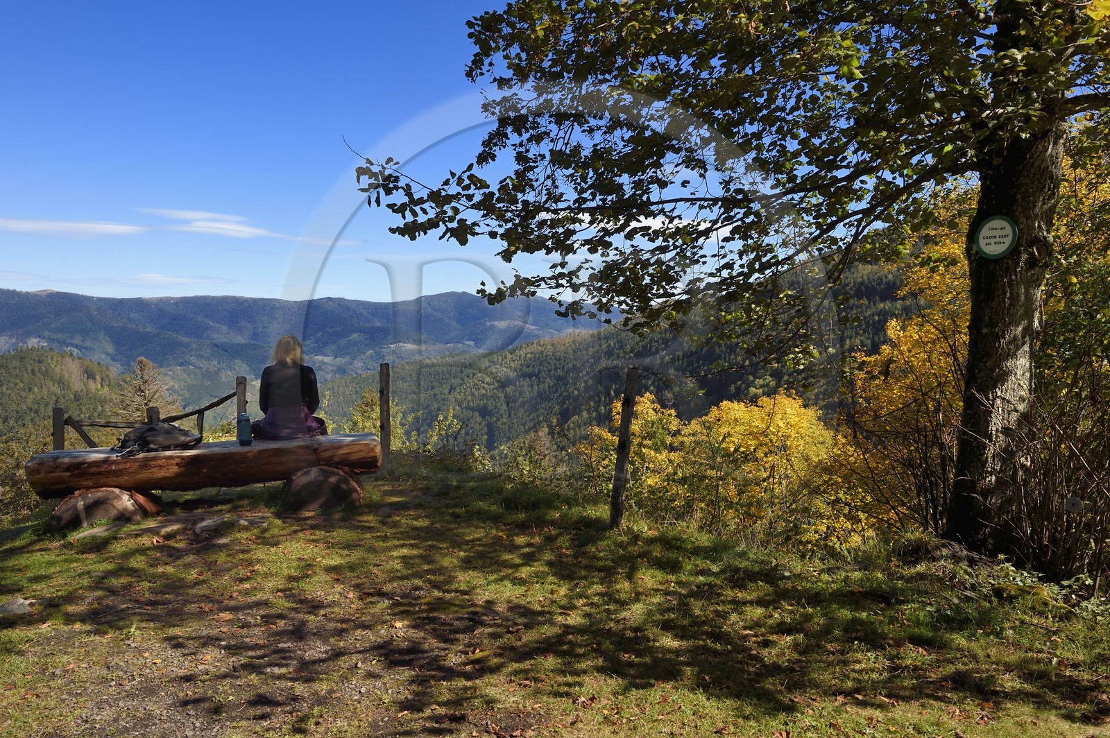France, Haut-Rhin (68), Parc naturel régional des ballons des Vosges, Storckensohn, montagne de La Tête des Perches, la chaume de Gazon vert, vue sur la vallée de Storckensohn à l'ouest de Fellering