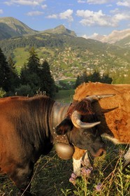 Switzerland, canton of Vaud, Les Diablerets