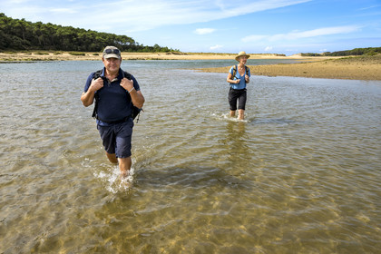 France, Vendée (85), Talmont Saint Hilaire, la Pointe du Payré, crossing of the mouth of the Payré river at low tide by hikers